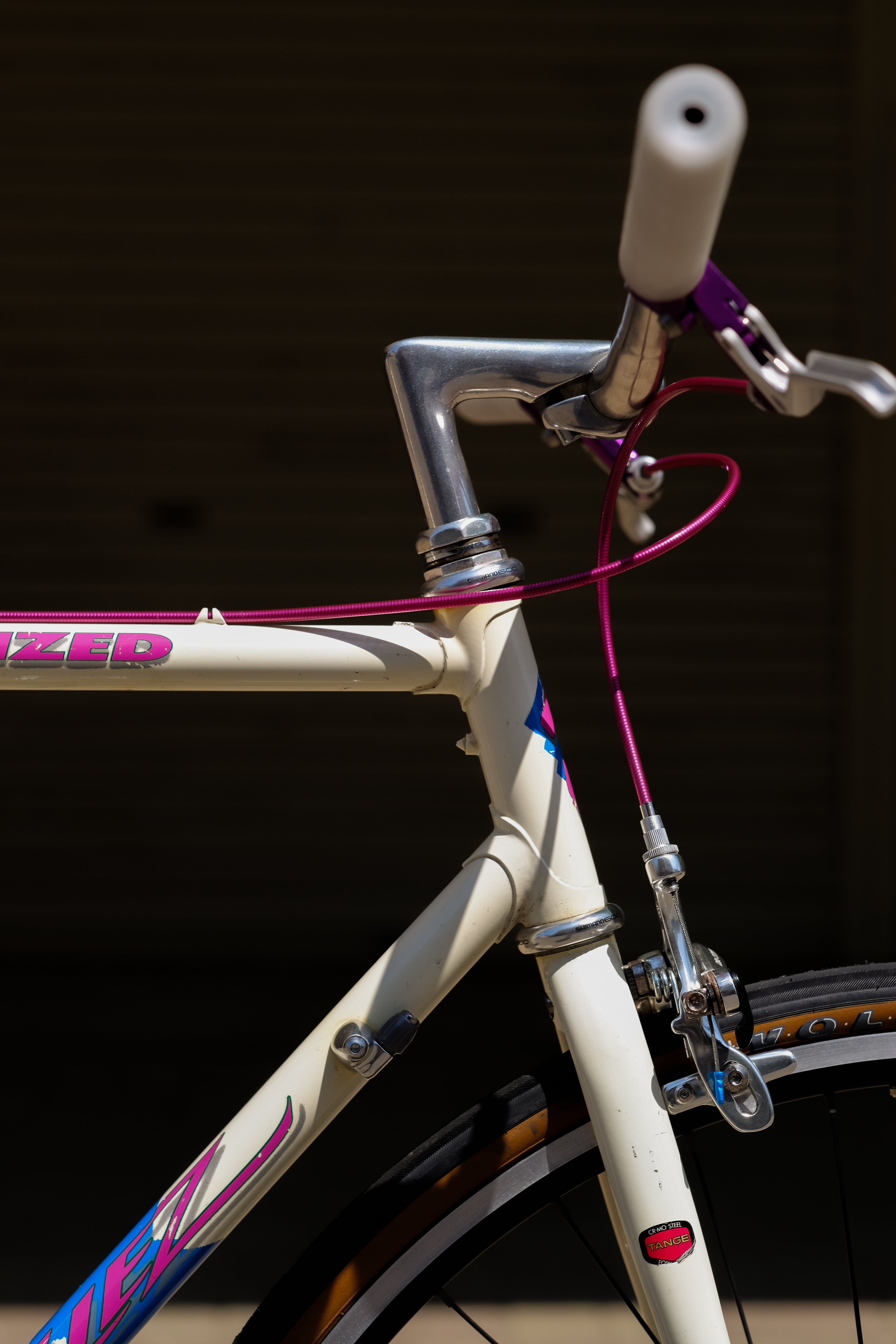 SPECIALIZED Allez 87's Fixed Custom Complete Bike