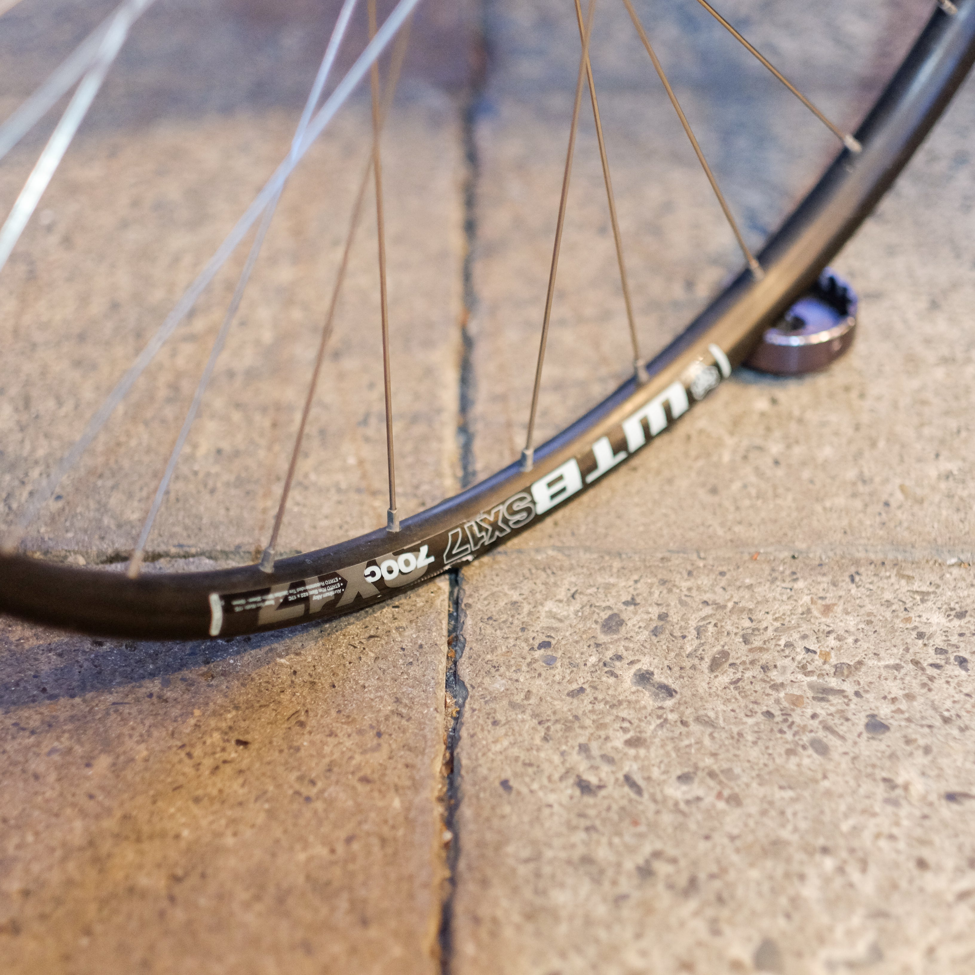WTB SX17 135QR Rear Wheel [Used]