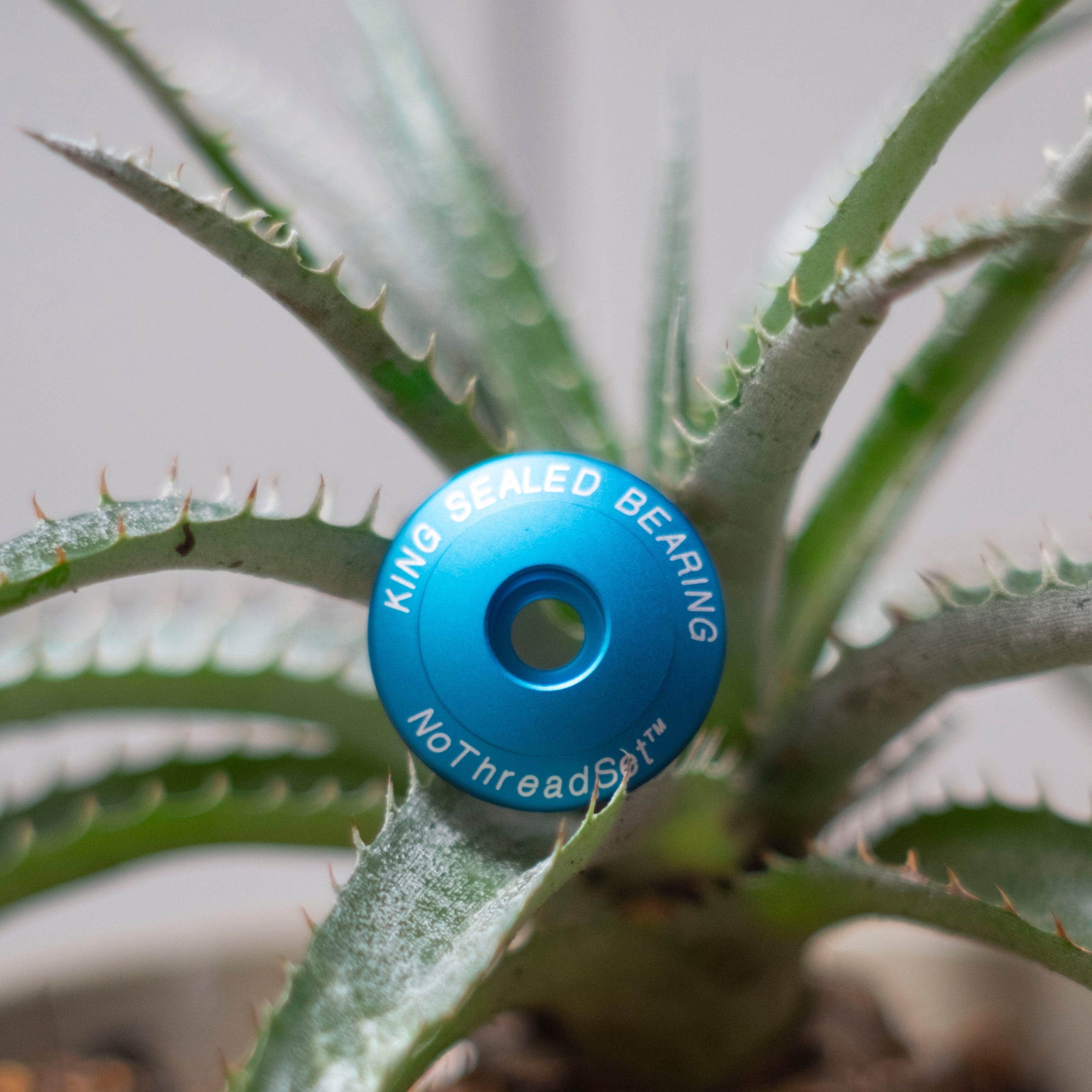 CHRIS KING Stem Cap 1-1/8"