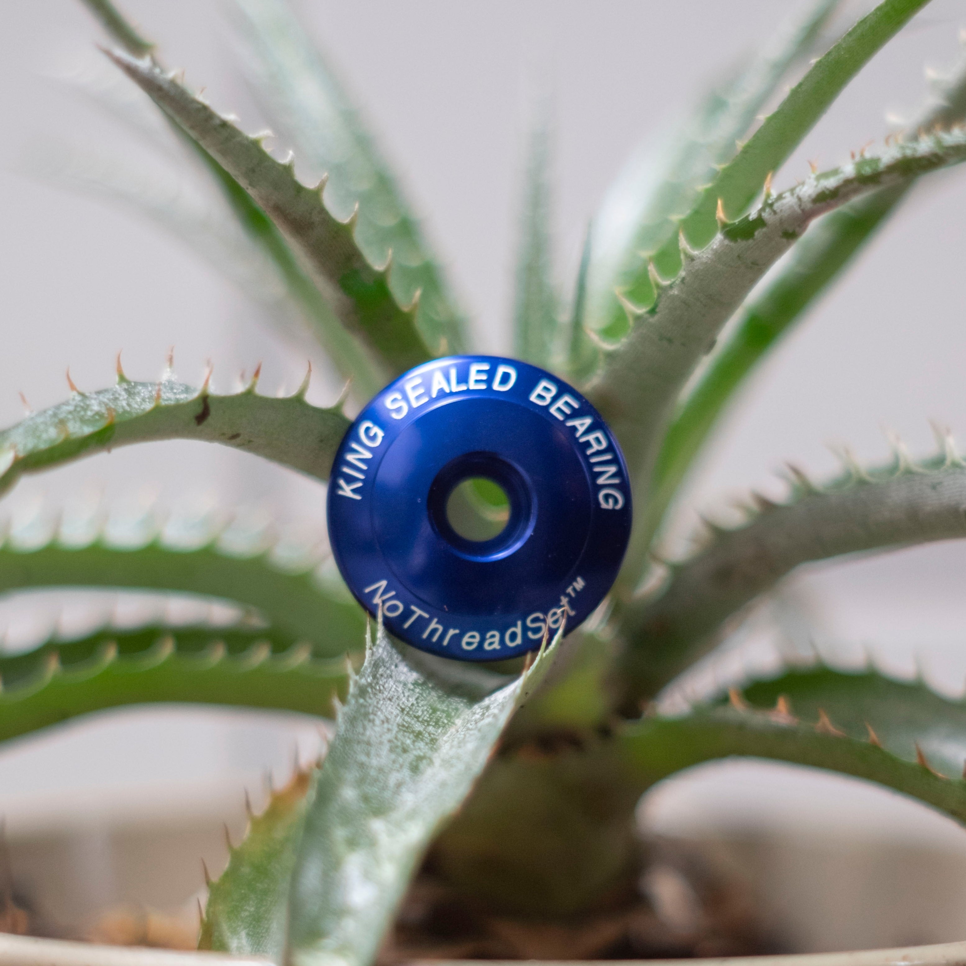CHRIS KING Stem Cap 1-1/8"