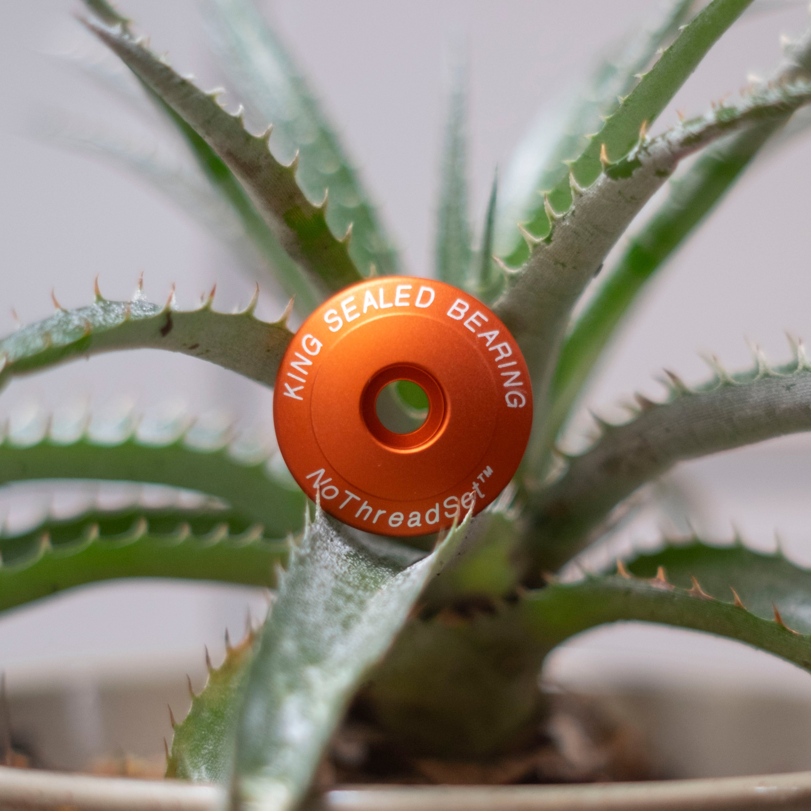 CHRIS KING Stem Cap 1-1/8"