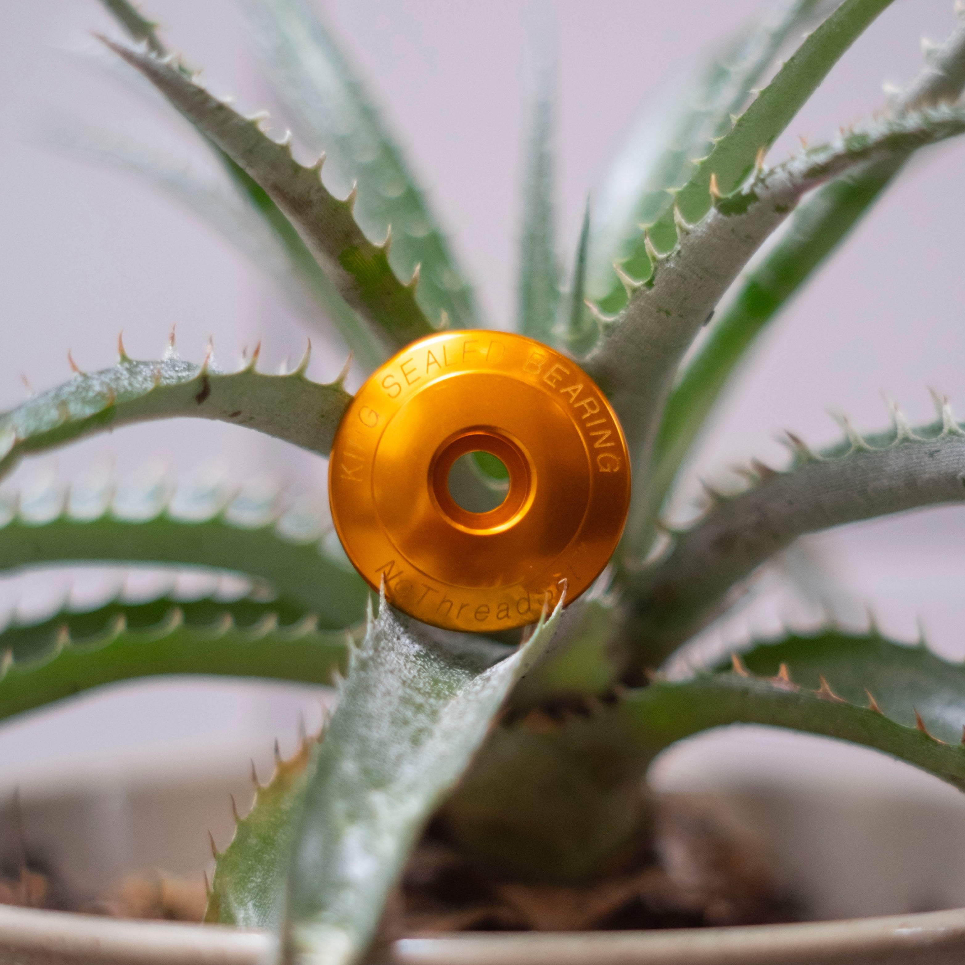 CHRIS KING Stem Cap 1-1/8"