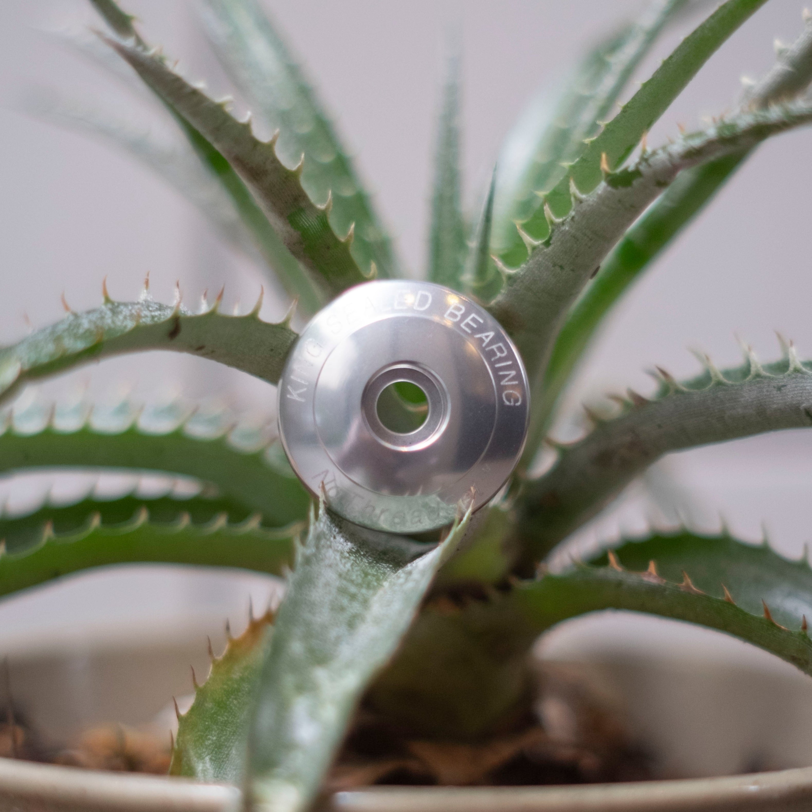 CHRIS KING Stem Cap 1-1/8"