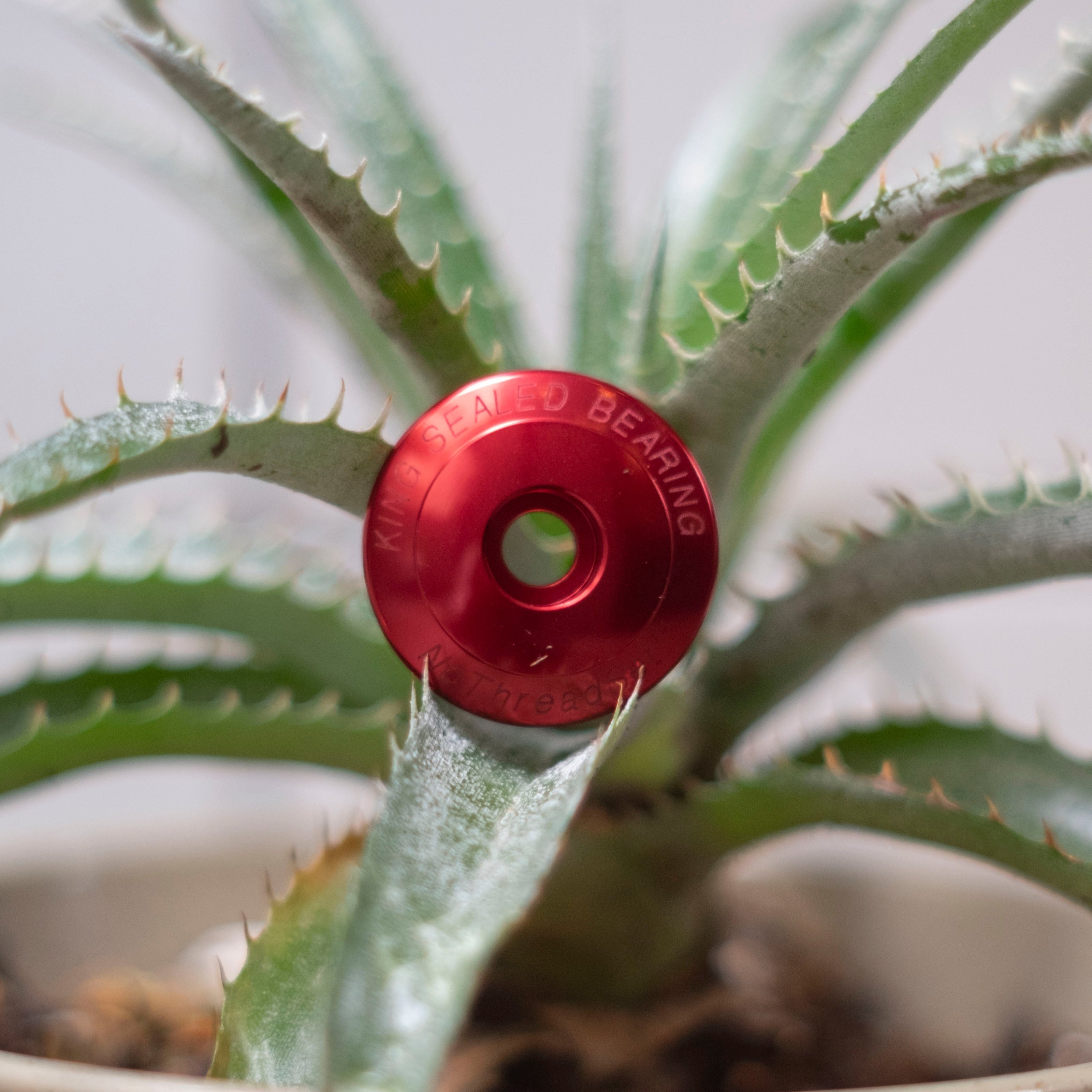 CHRIS KING Stem Cap 1-1/8"