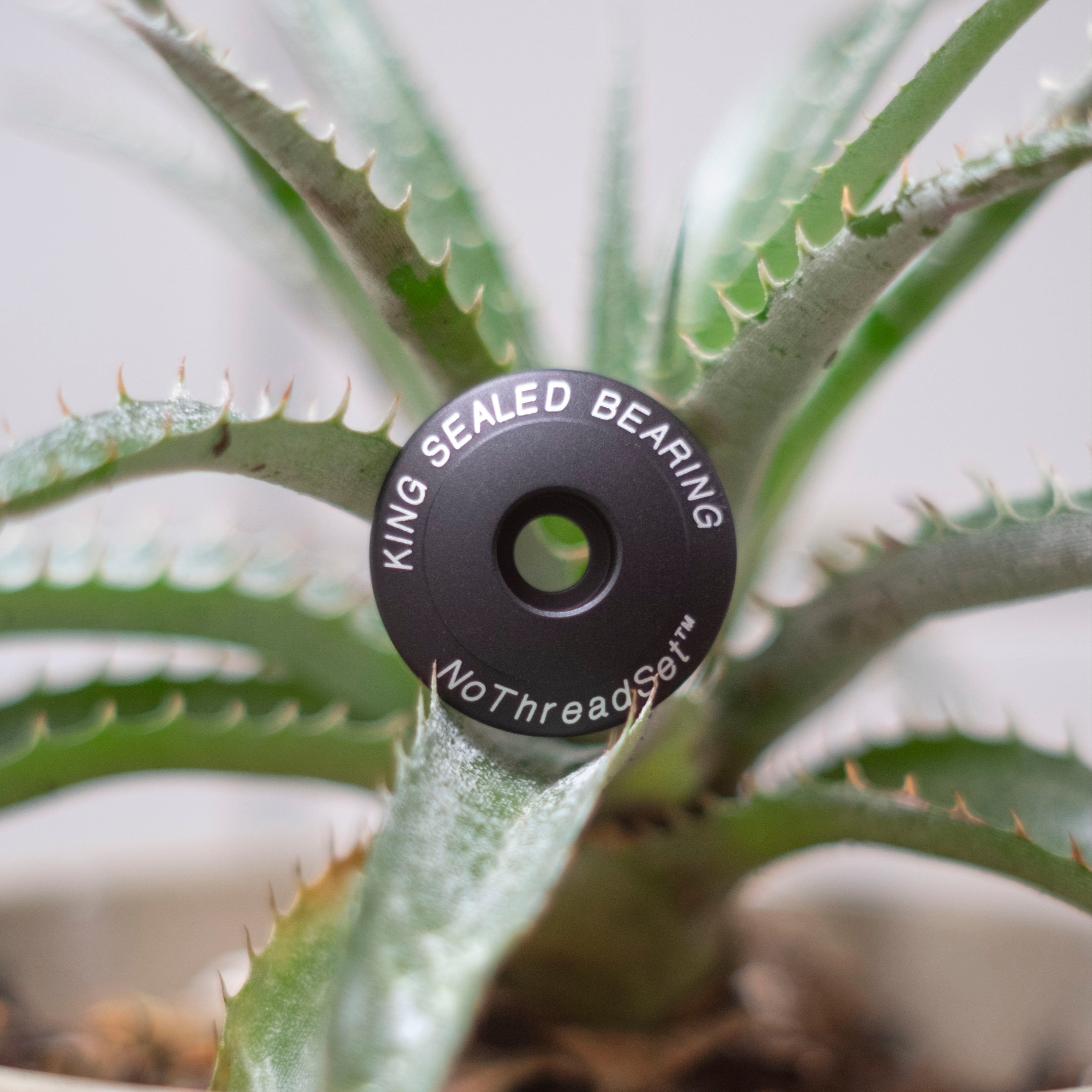 CHRIS KING Stem Cap 1-1/8"