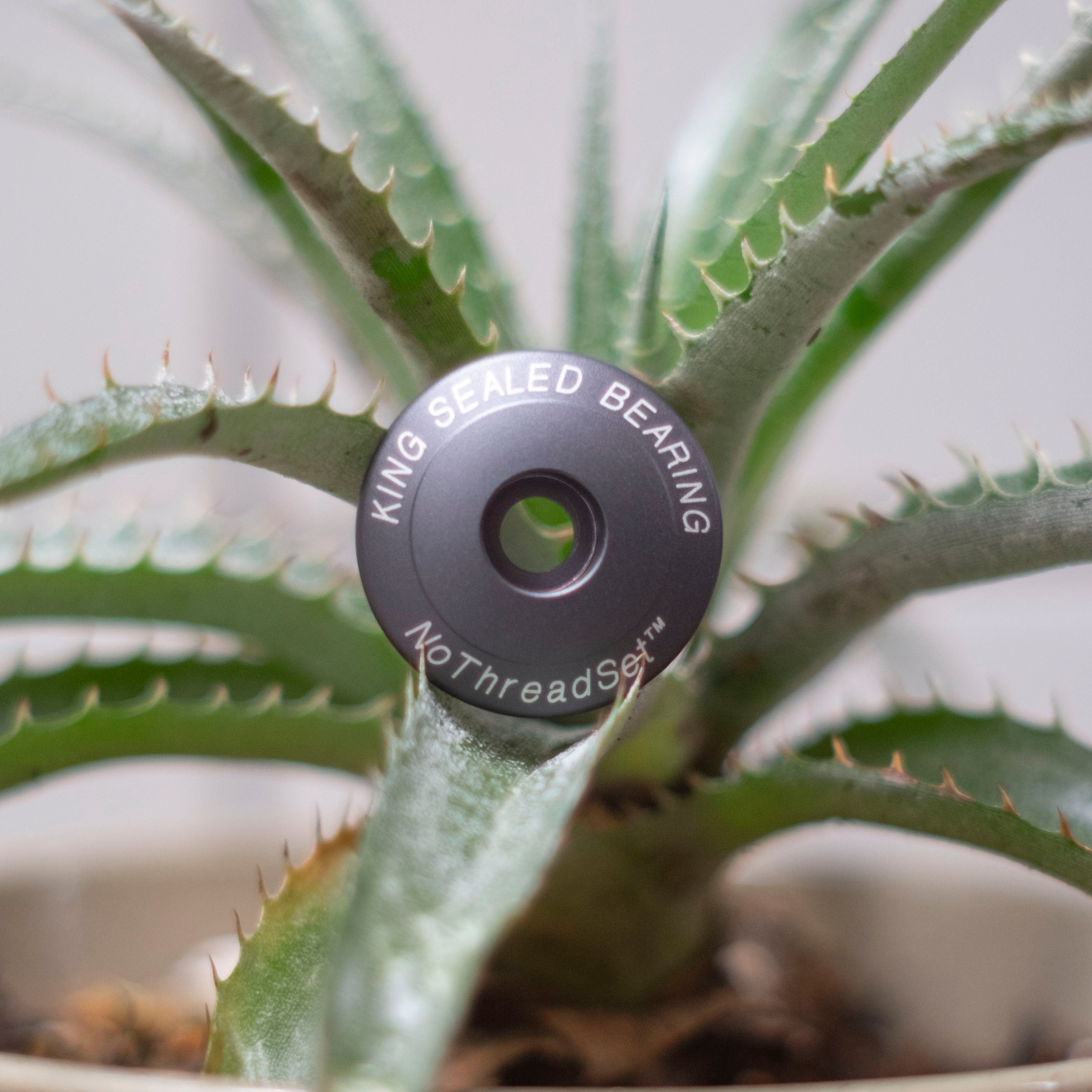 CHRIS KING Stem Cap 1-1/8"