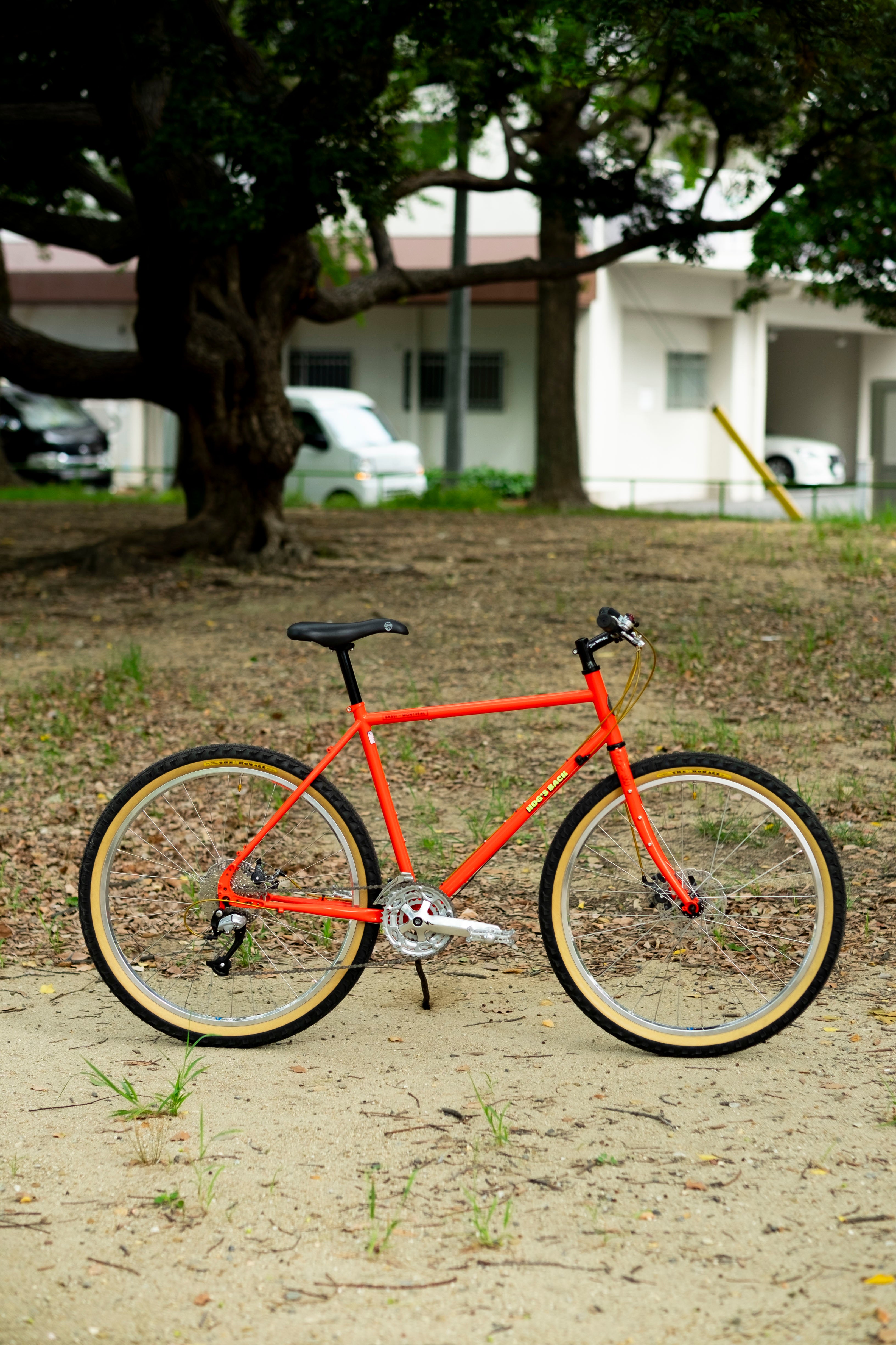 BASSI Hog's Back Culture Club 90's MTB Custom