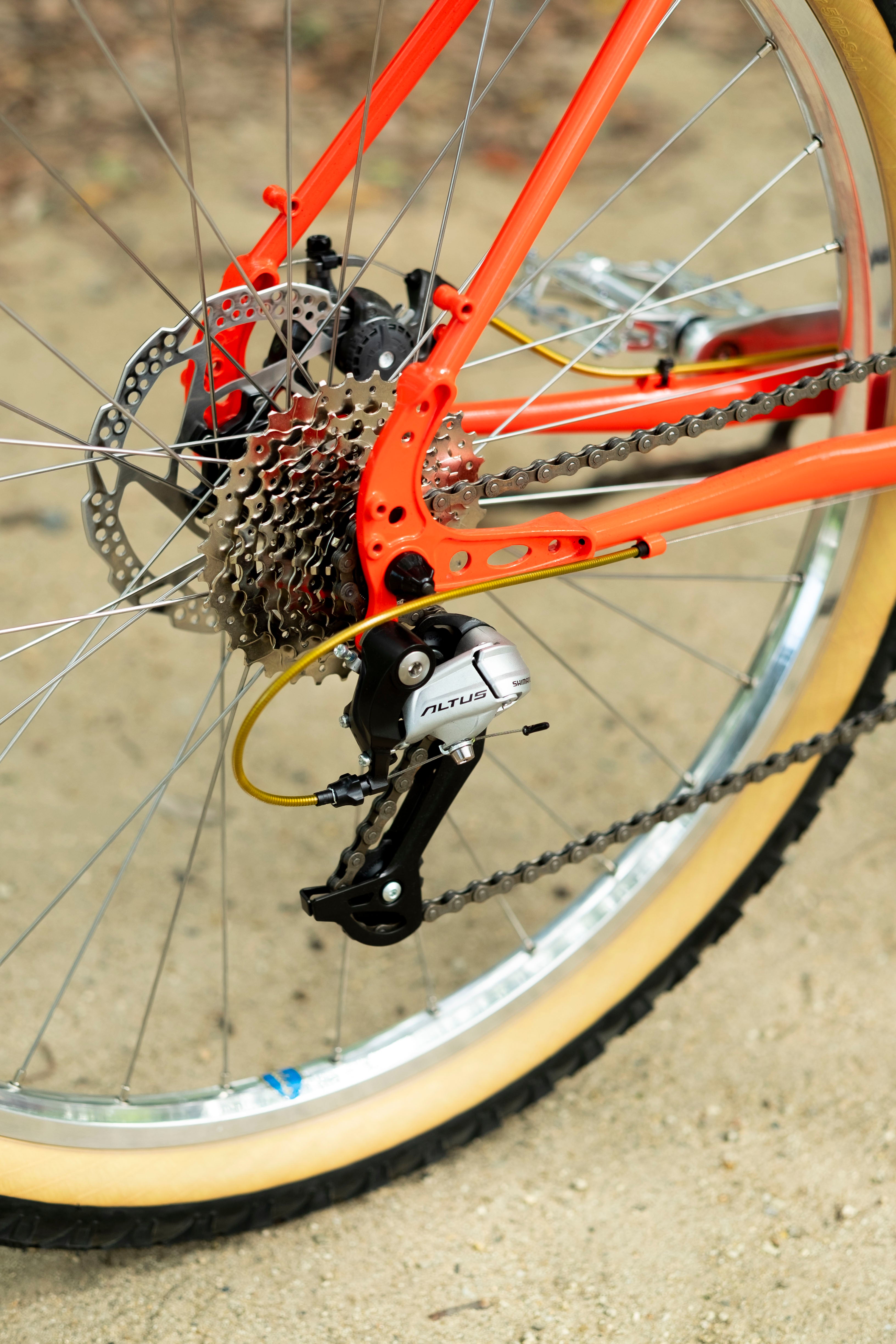 BASSI Hog's Back Culture Club 90's MTB Custom