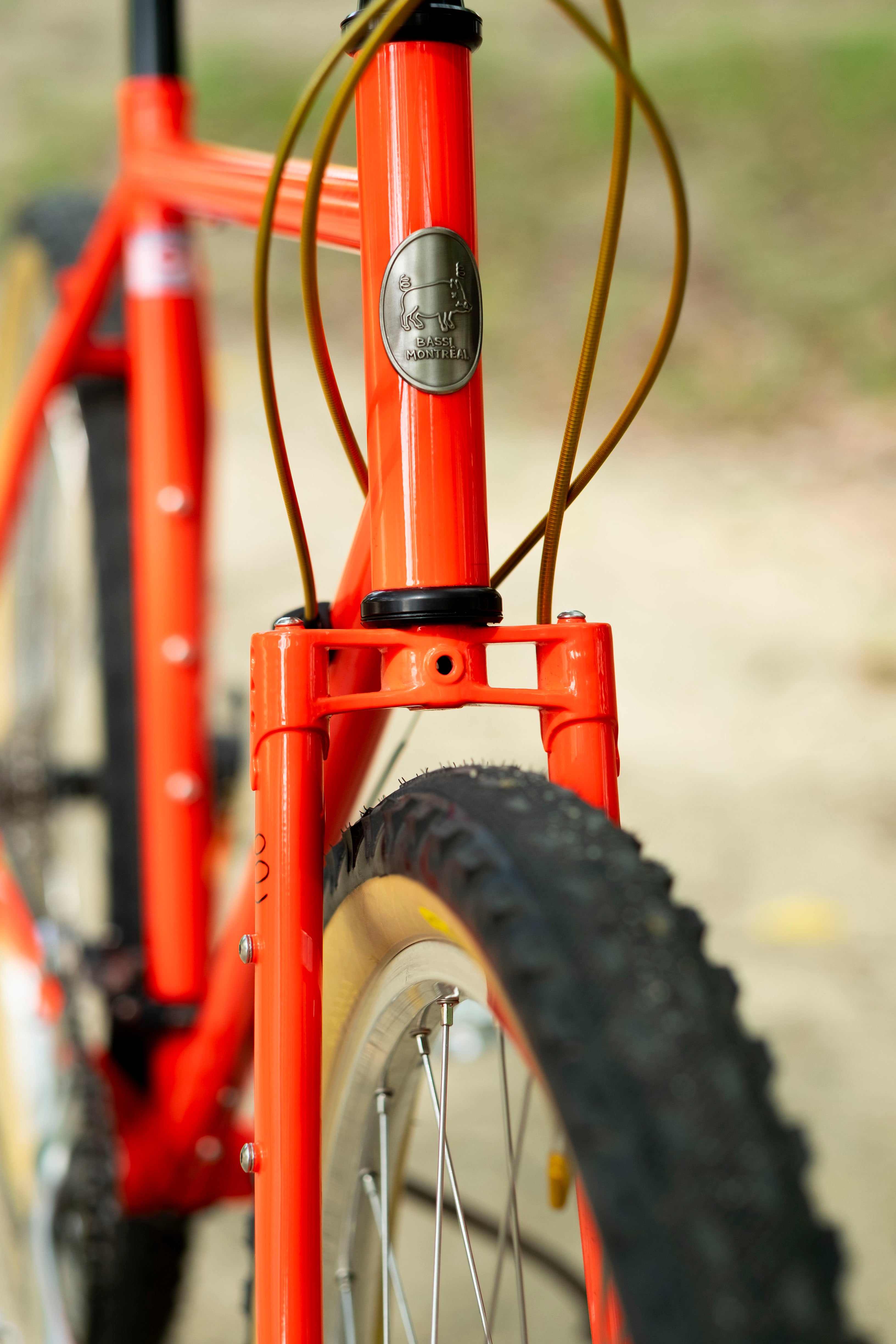 BASSI Hog's Back Culture Club 90's MTB Custom