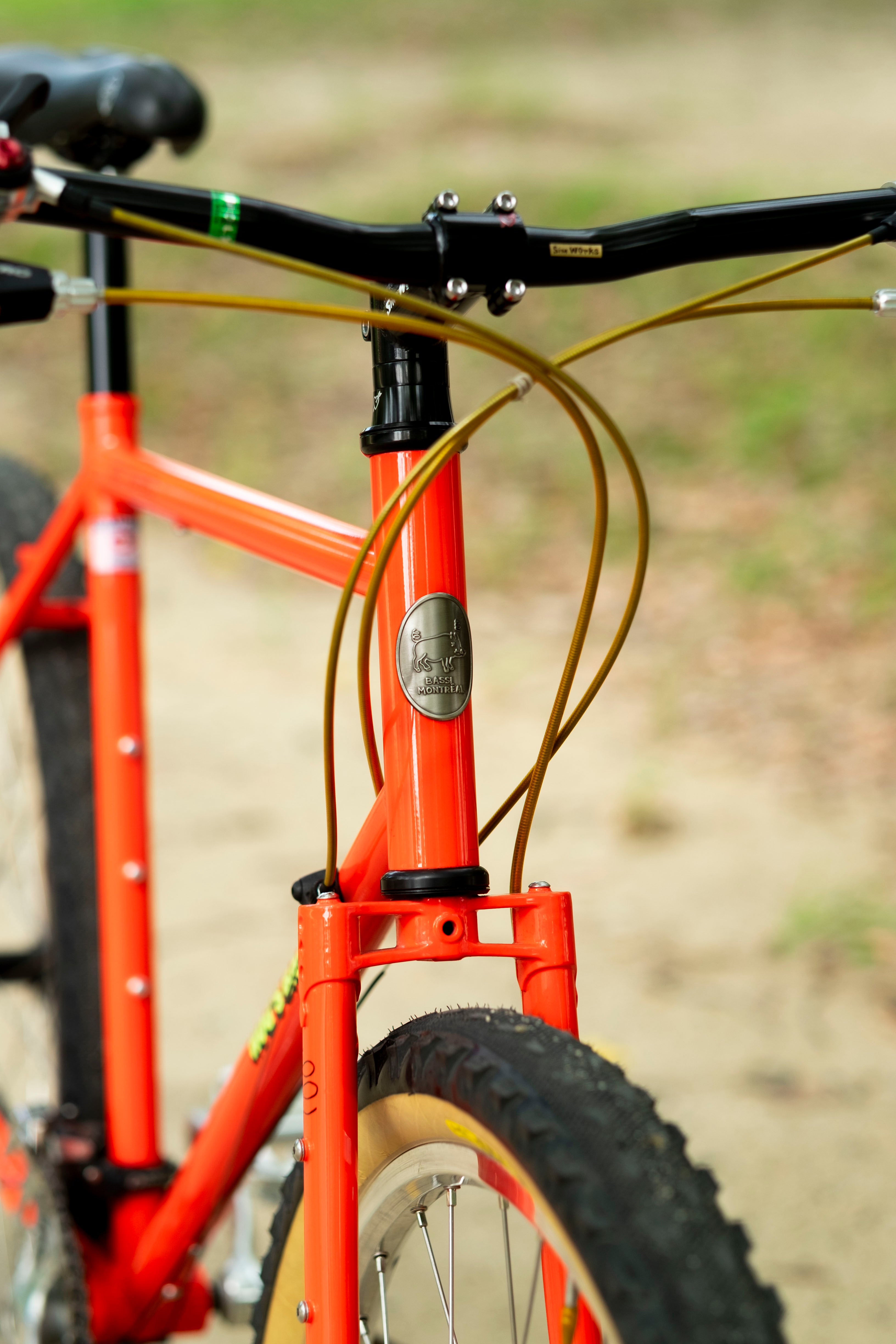 BASSI Hog's Back Culture Club 90's MTB Custom