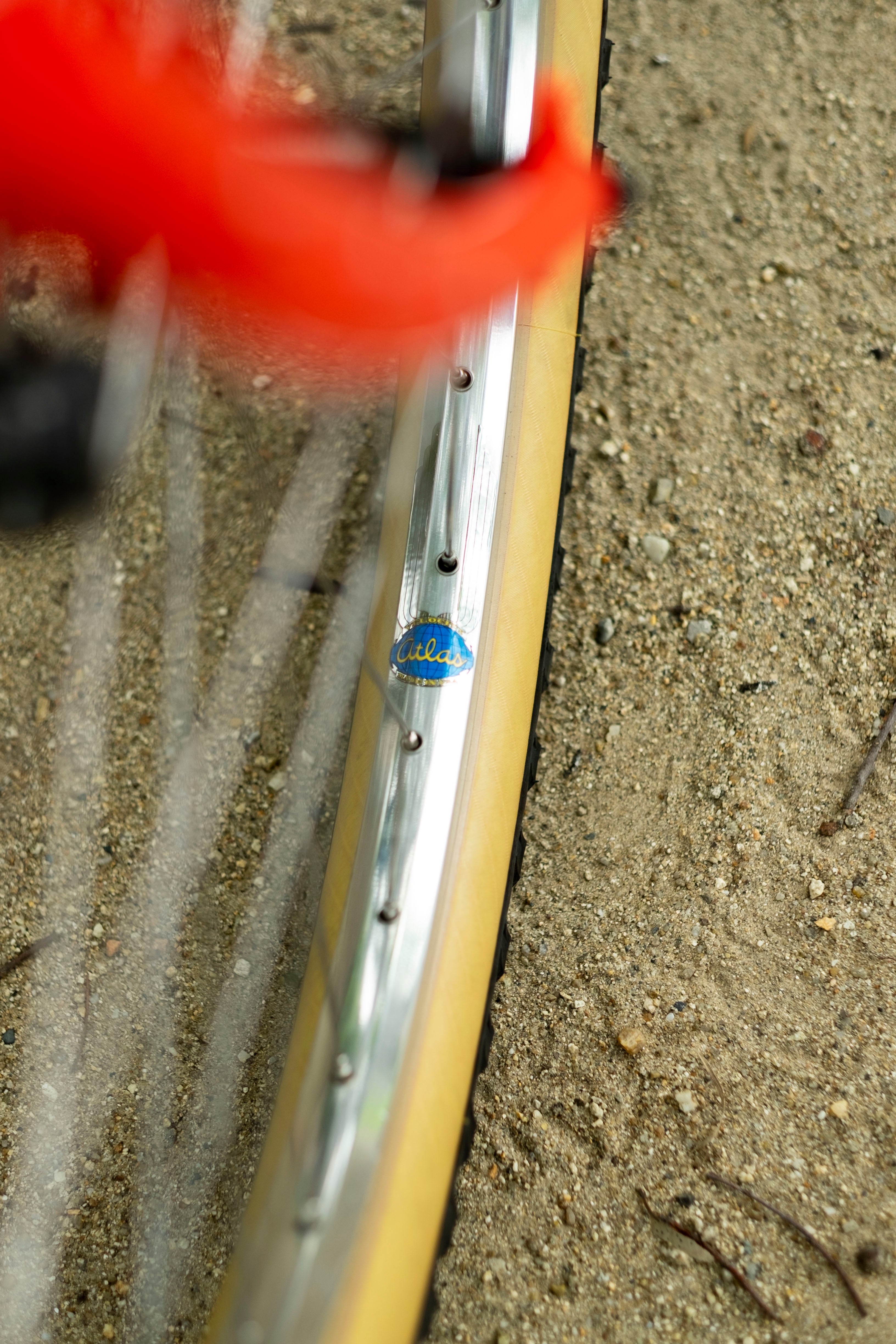 BASSI Hog's Back Culture Club 90's MTB Custom