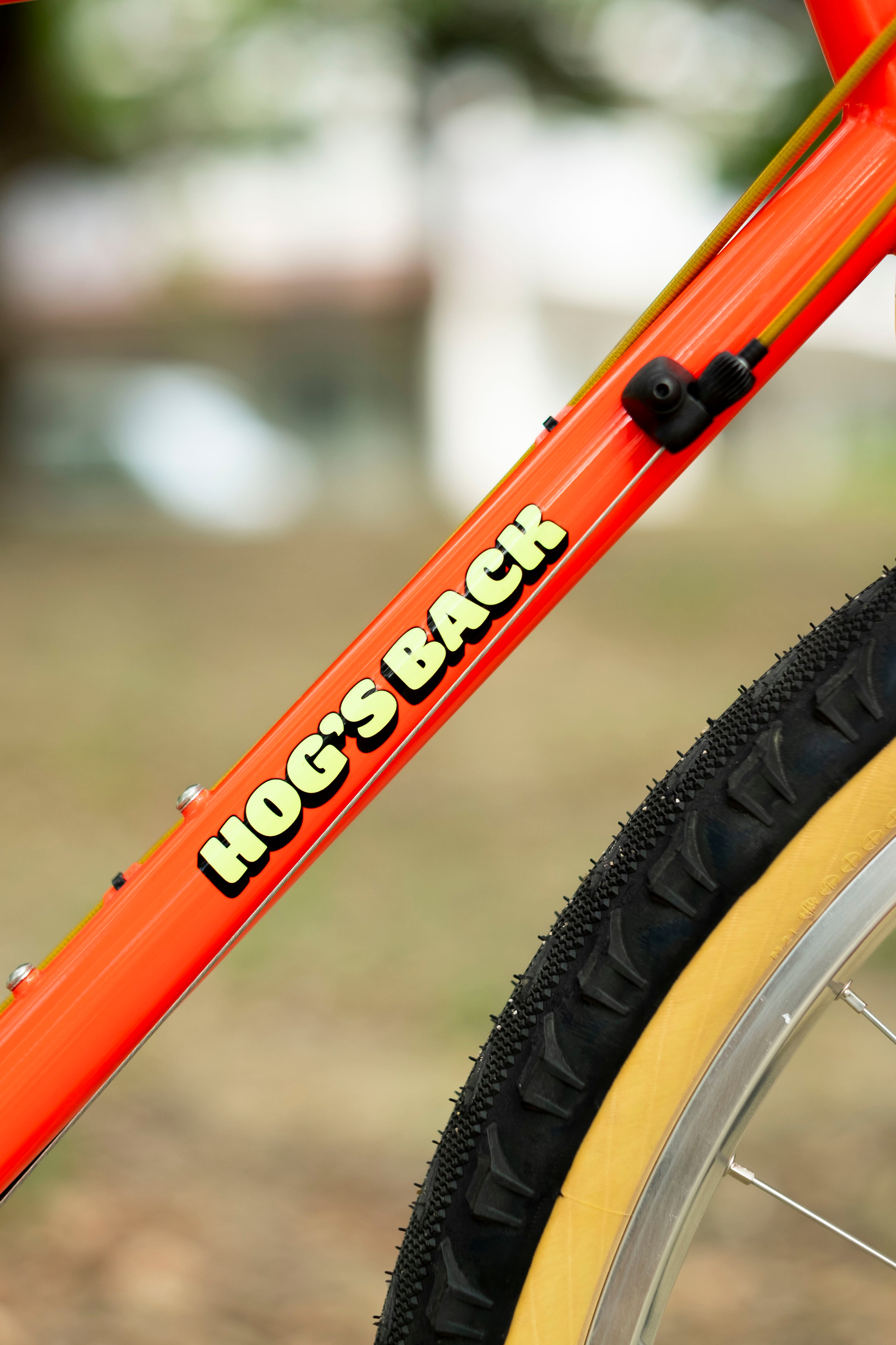 BASSI Hog's Back Culture Club 90's MTB Custom