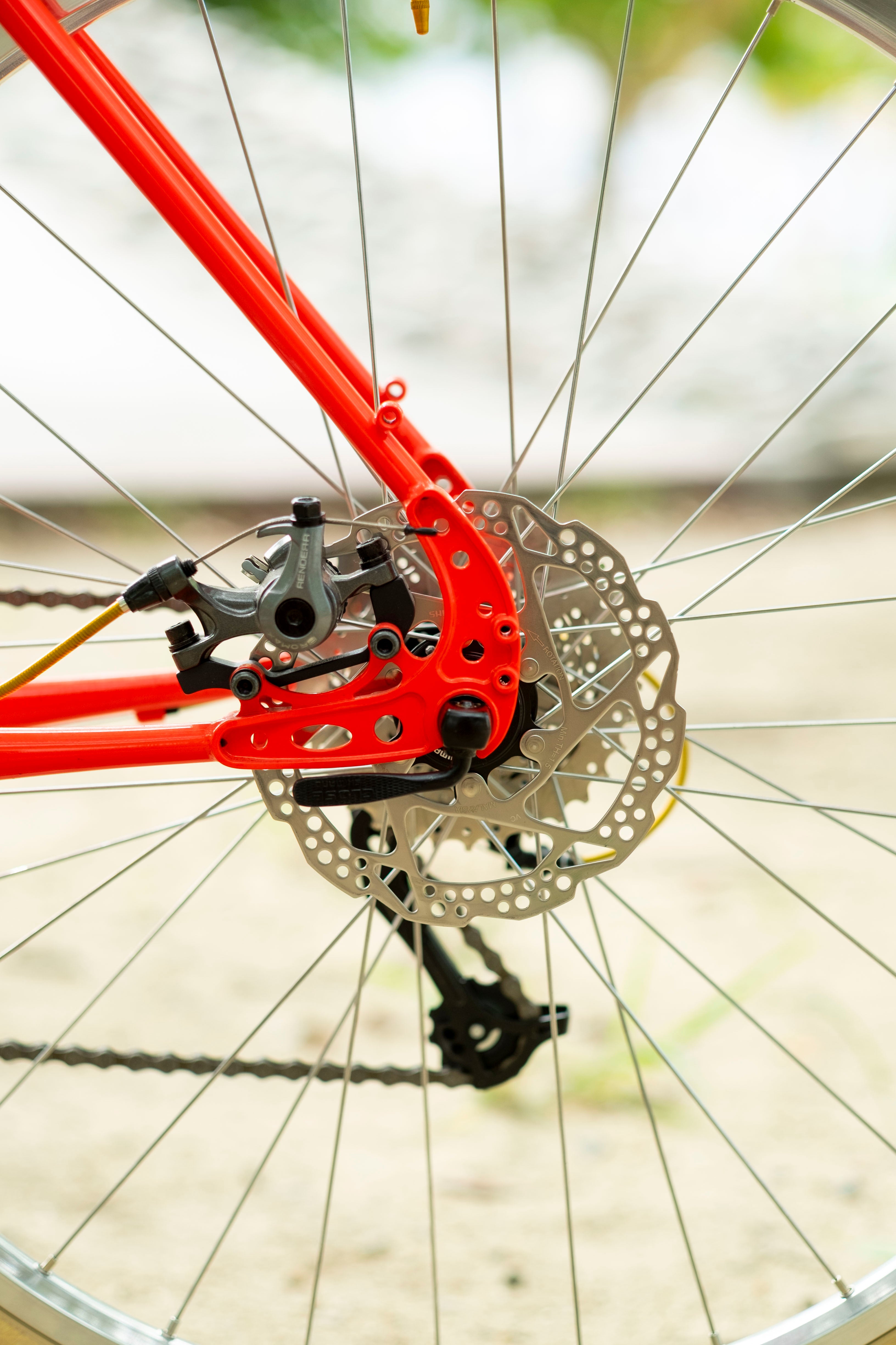 BASSI Hog's Back Culture Club 90's MTB Custom
