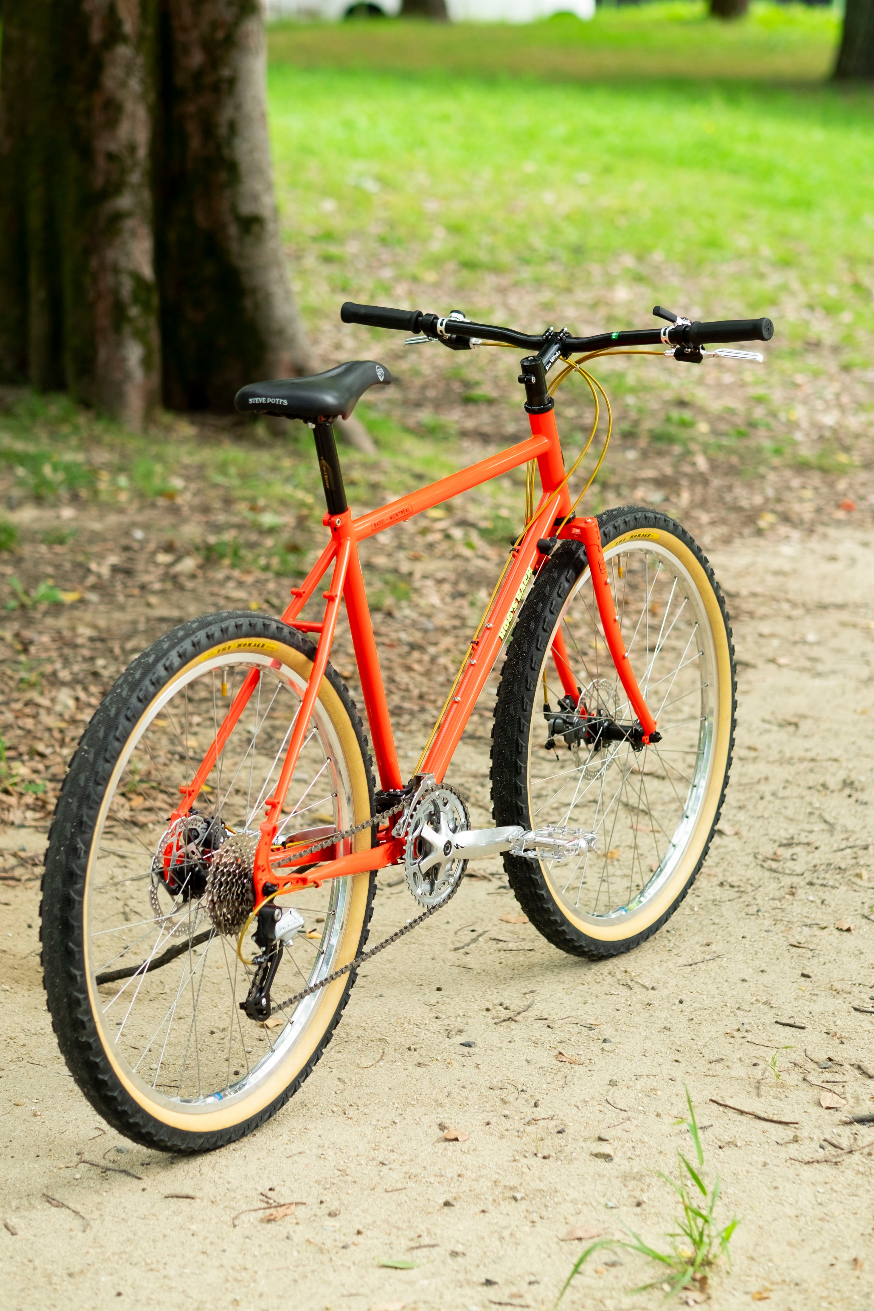 BASSI Hog's Back Culture Club 90's MTB Custom