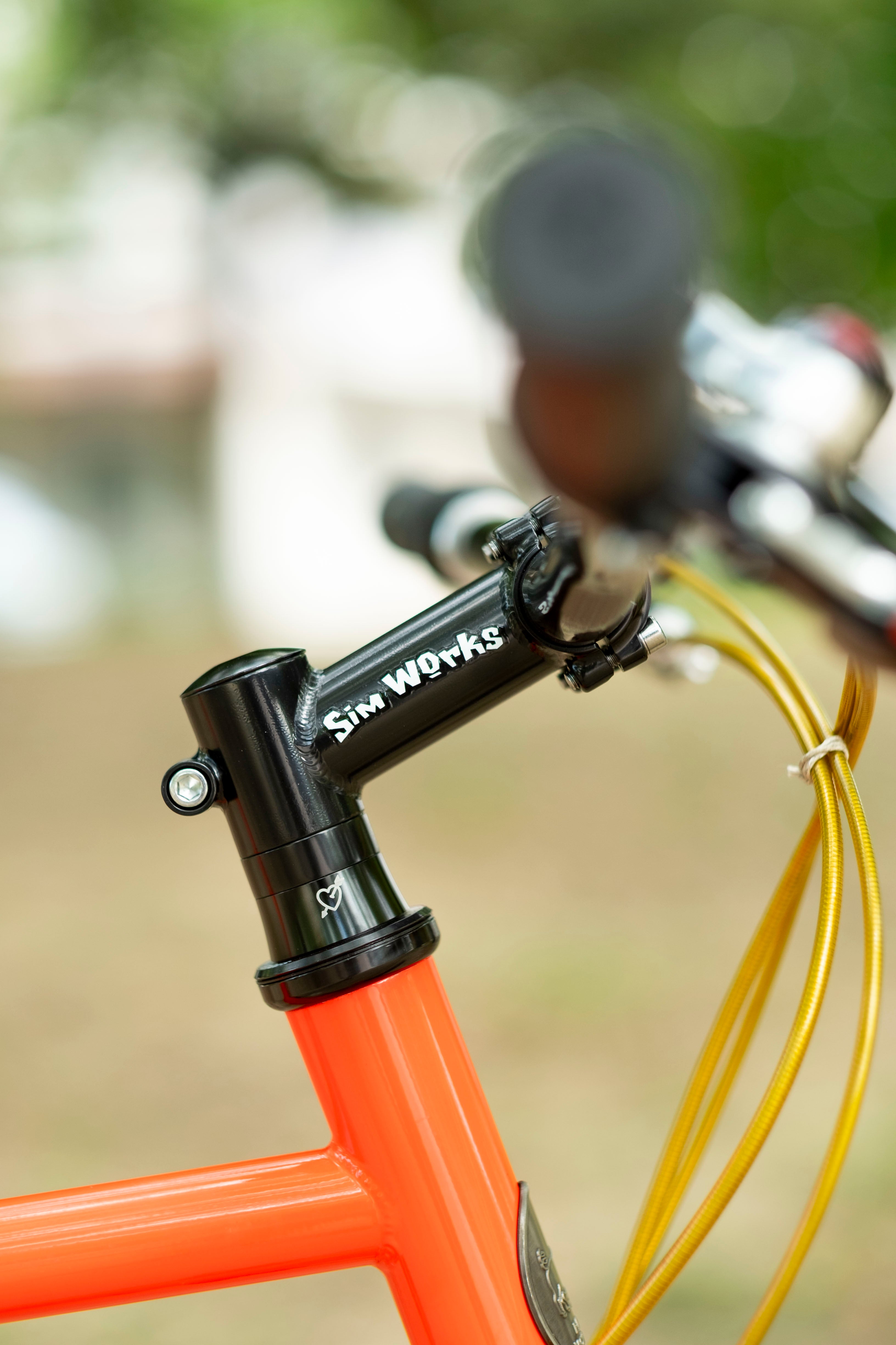 BASSI Hog's Back Culture Club 90's MTB Custom