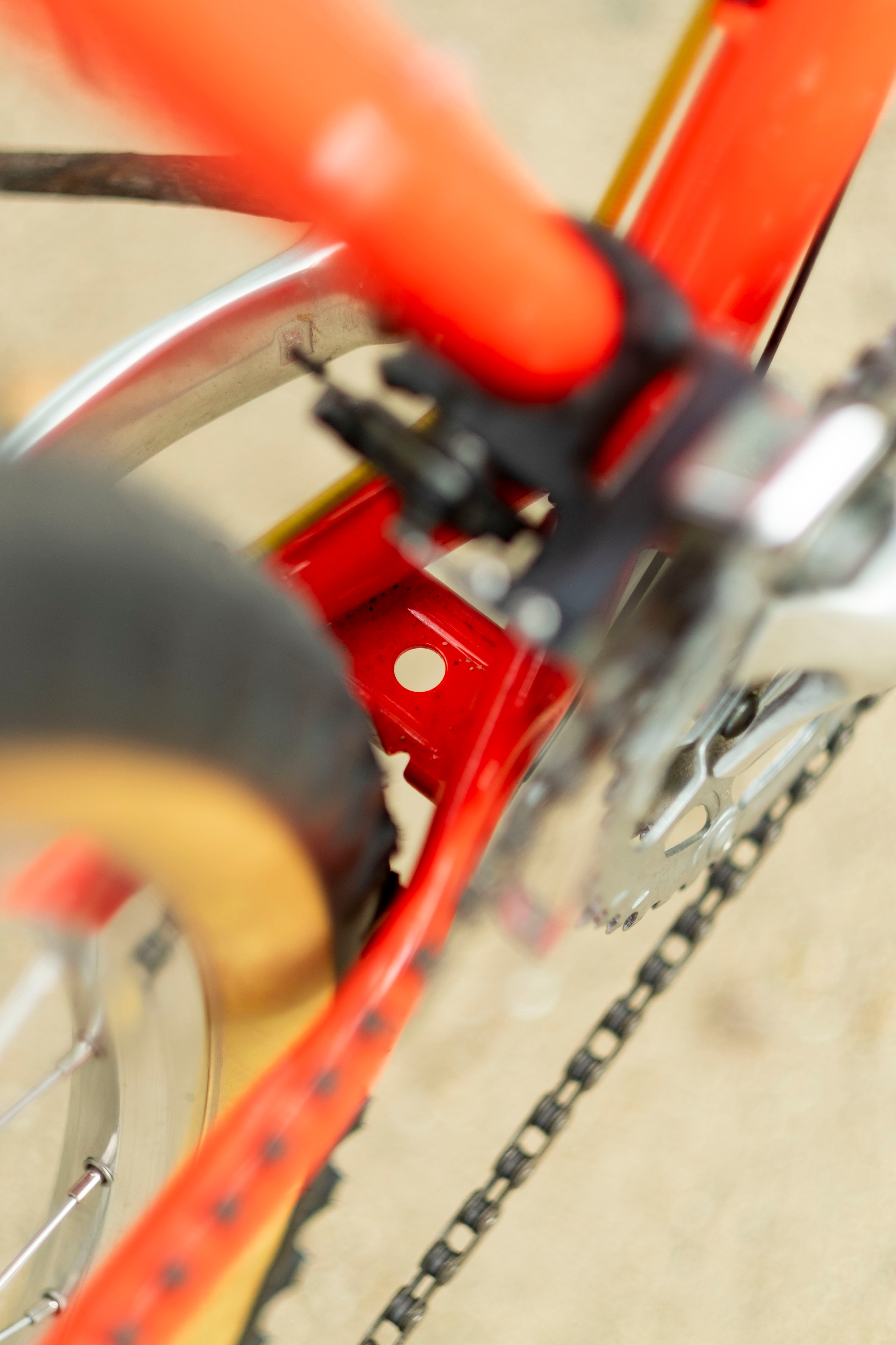 BASSI Hog's Back Culture Club 90's MTB Custom