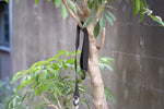 RAL Carry Strap