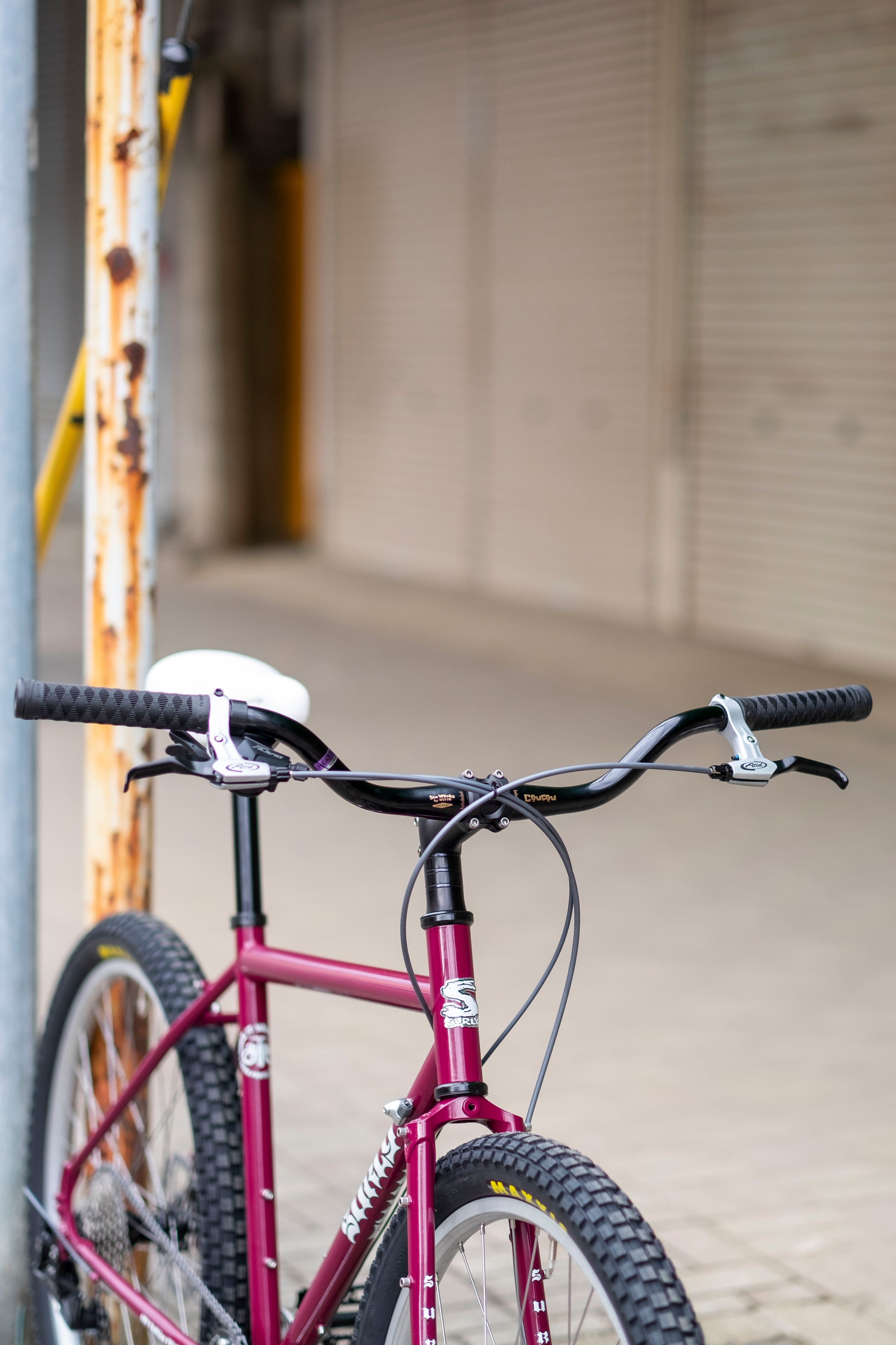 SURLY Disc Trucker Repainted By Kyutai Paint