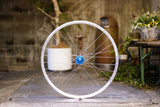 GORILLA SPUN Build Wheel [GRAN COMPE x CYCROC Large Flange]