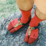 RAL Tabby Socks